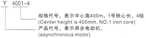 西安泰富西玛Y系列(H355-1000)高压YJTFKK450-2D三相异步电机型号说明